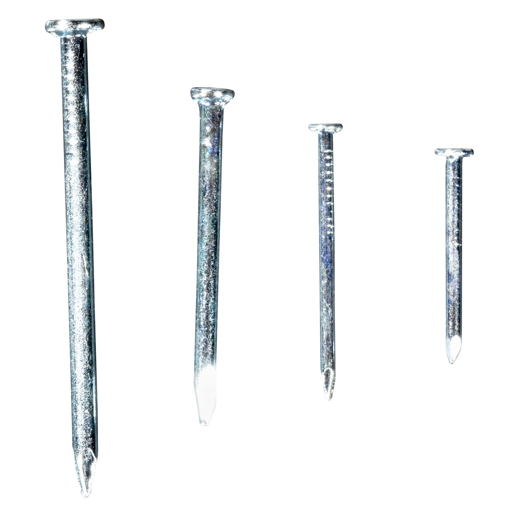 Nails Assortment Kit