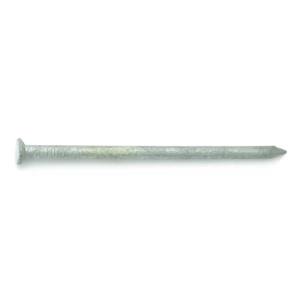 12D - 3-1/4 Common Nail HDG