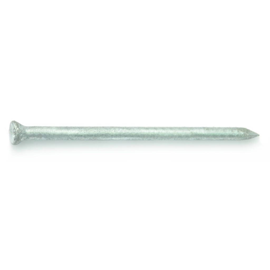 6D - 2 Casing Nail-HDG