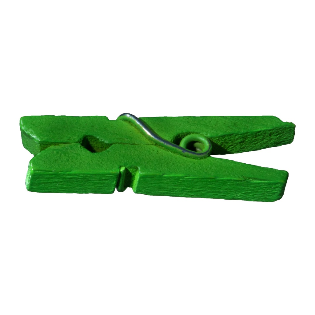 [MF24816] Vintage Green Craft Clips