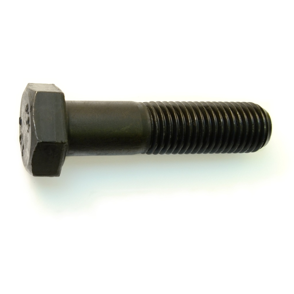 20mm-2.5x 80mm Hex Cap 10.9 Pln