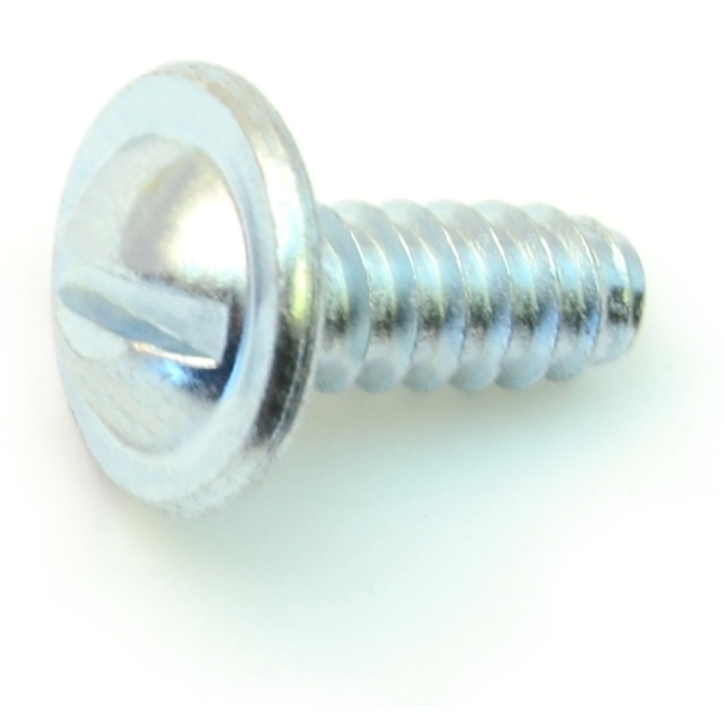 1/4 x 5/8 Slot Round Screw