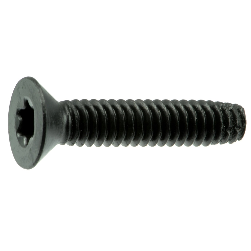 1/4-20 x 1-1/4 Saber Fl Brd Scr