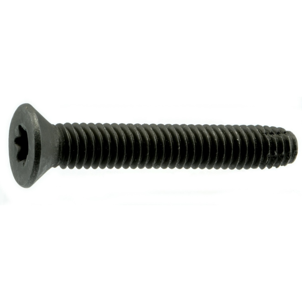 5/16-18 x 2 Saber Fl Brd Scr