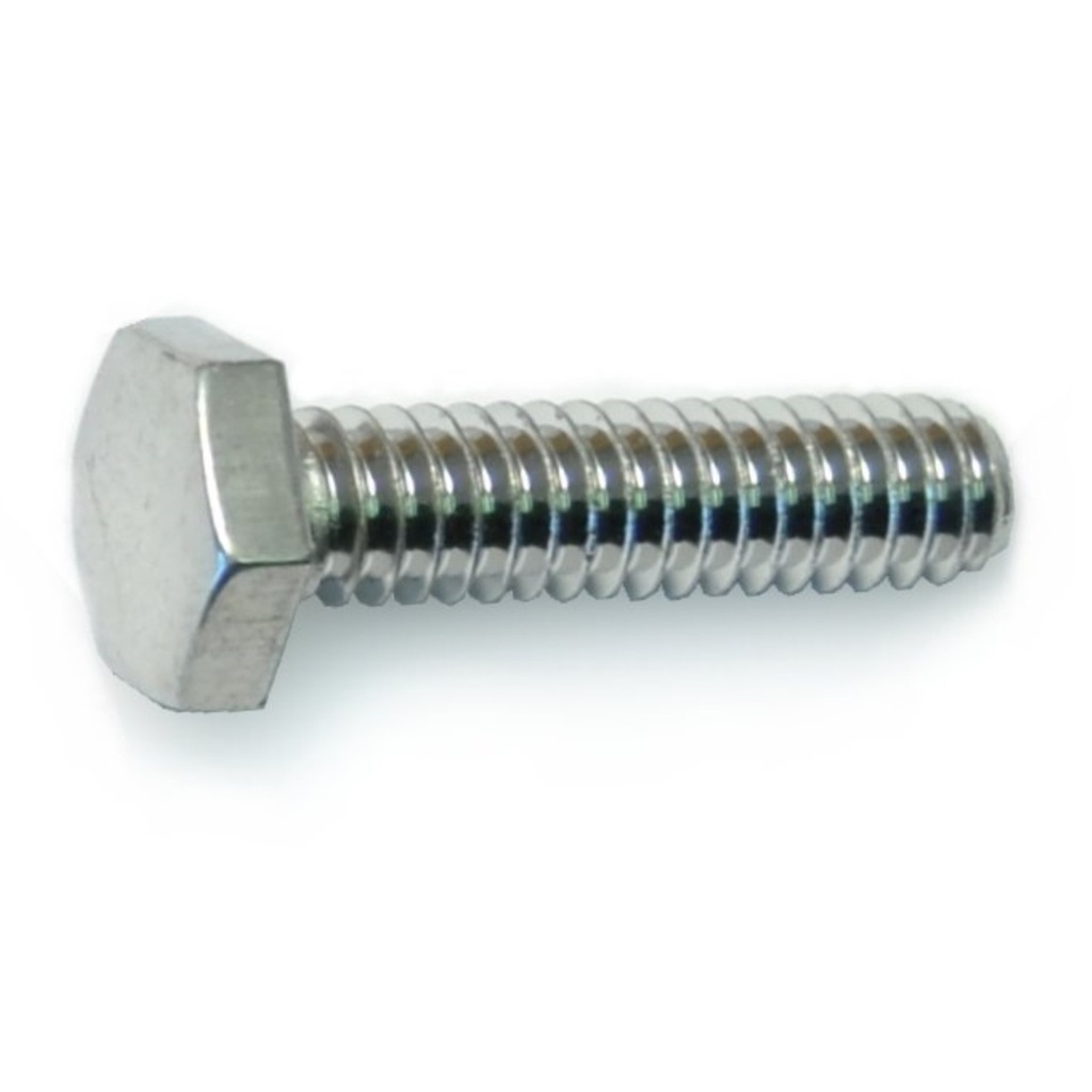 1/4-20 x 1 Hex Cap PlSS