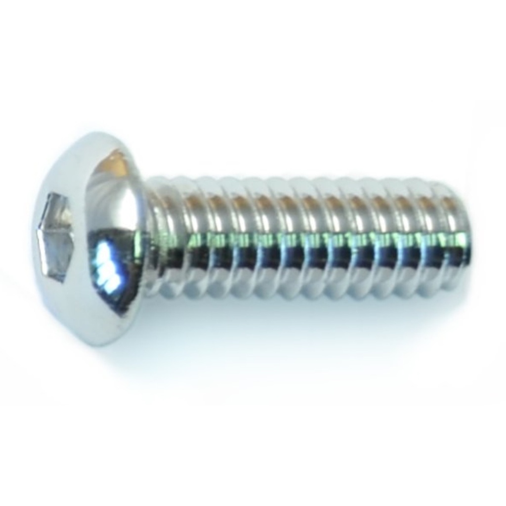 1/4-20 x 3/4 Button Sckt PlSS