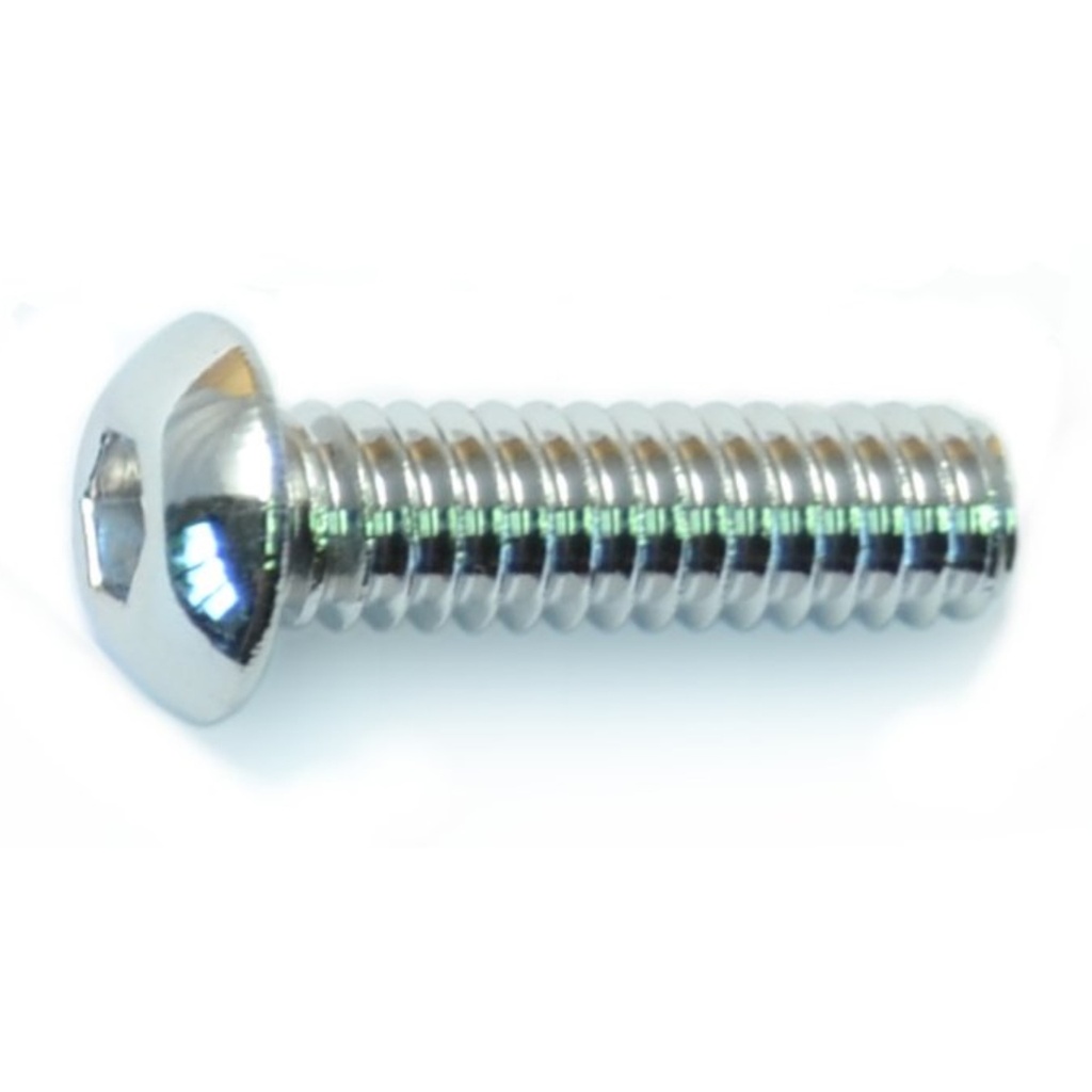 1/4-20 x 7/8 Button Sckt PlSS