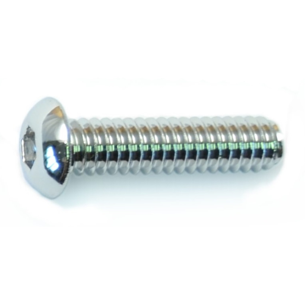 1/4-20 x 1 Button Sckt PlSS