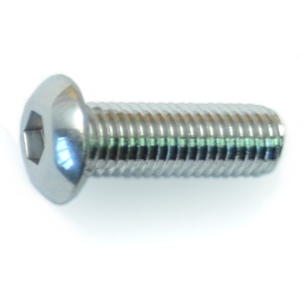 1/4-28 x 3/4 Button Sckt PlSS