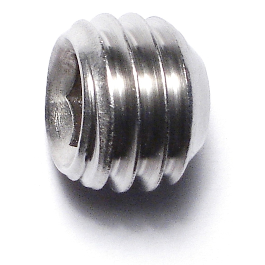 1/2-13 x 3/8 Skt Set Screw SS