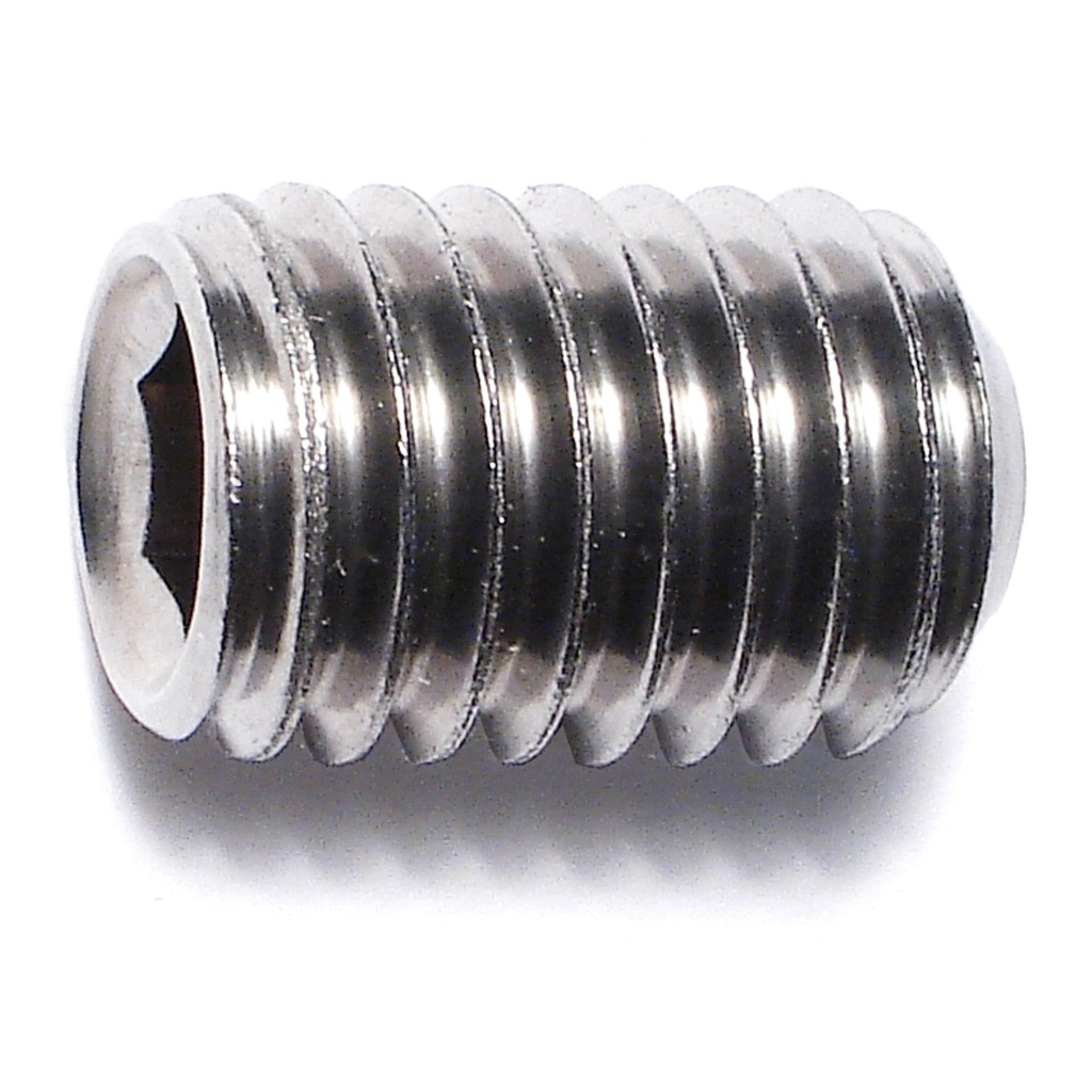 1/2-13 x 3/4 Skt Set Screw SS