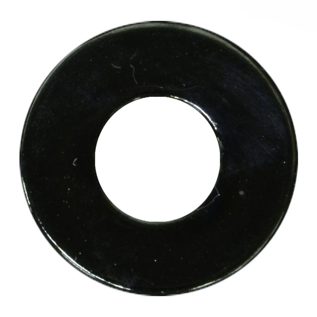 #10 SAE Fl Wash BChr