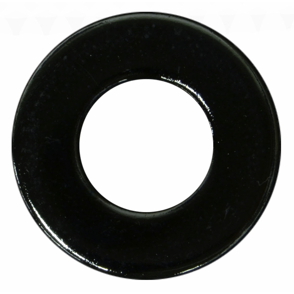 5/16 SAE Fl Wash BChr