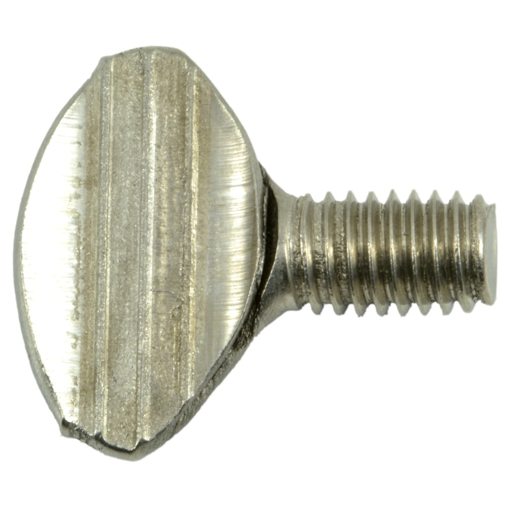 6mm-1.0 x 10mm Thumb Screw SS