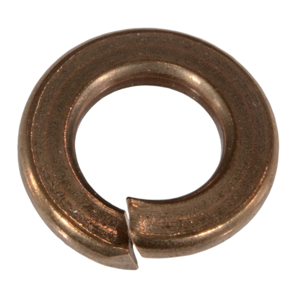 5/16 Lock Washer SlBz