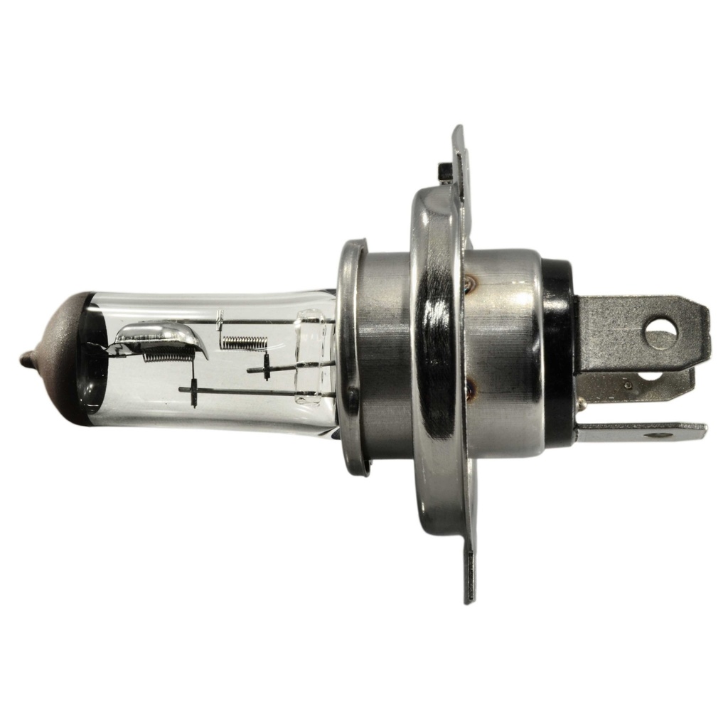 79003 Halo Headlt Bulb