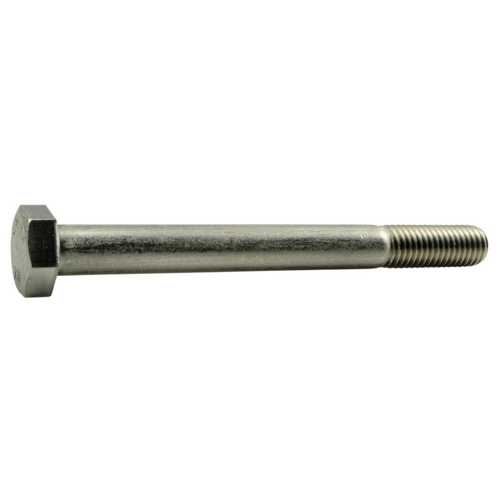 12mm-1.75 x120 Hex Cap Screw SS