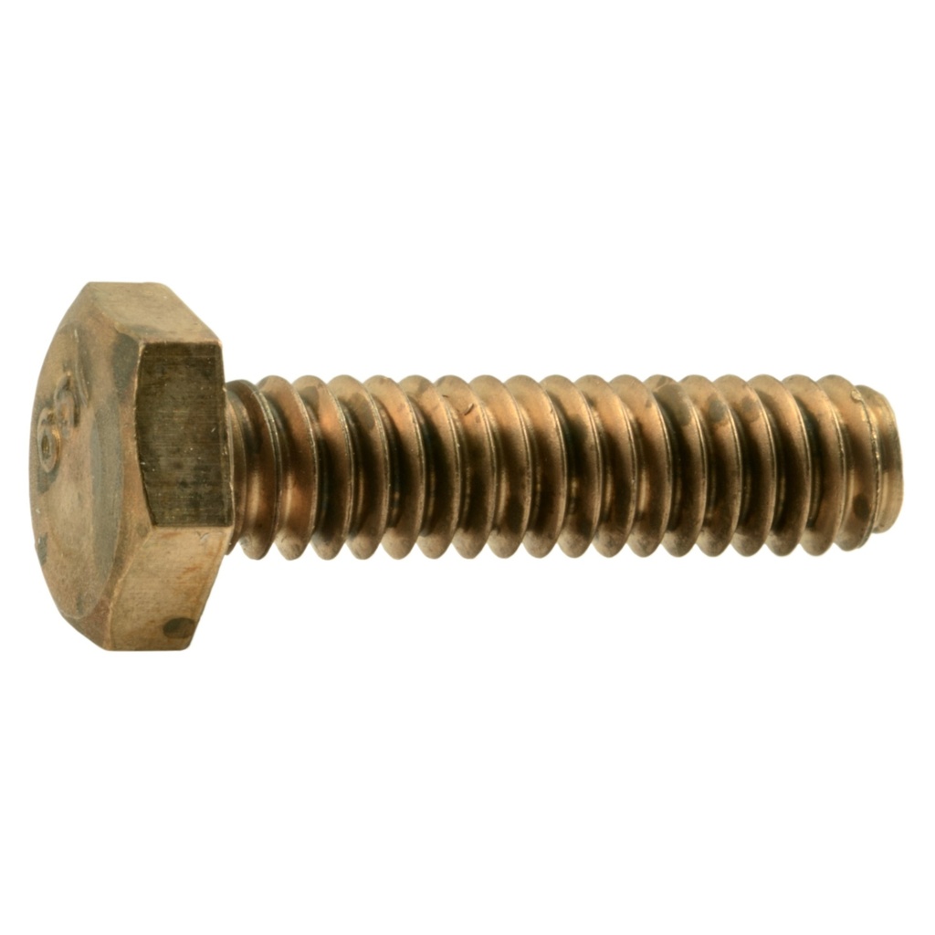 1/4-20 x 1 Hex Cap Scr SlBz