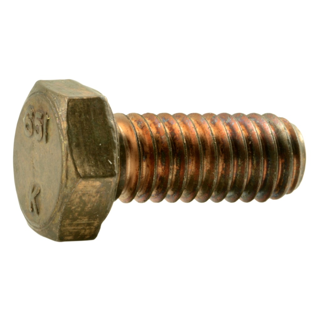 5/16-18 x 3/4 Hex Cap Scr SlBz