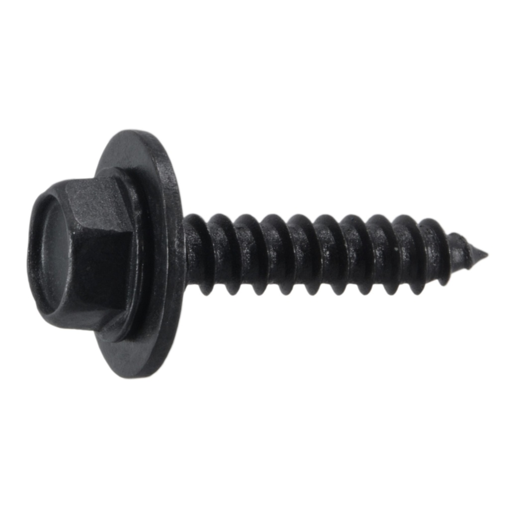 4.2x20mm 12mm Hex Wash SMS Blk