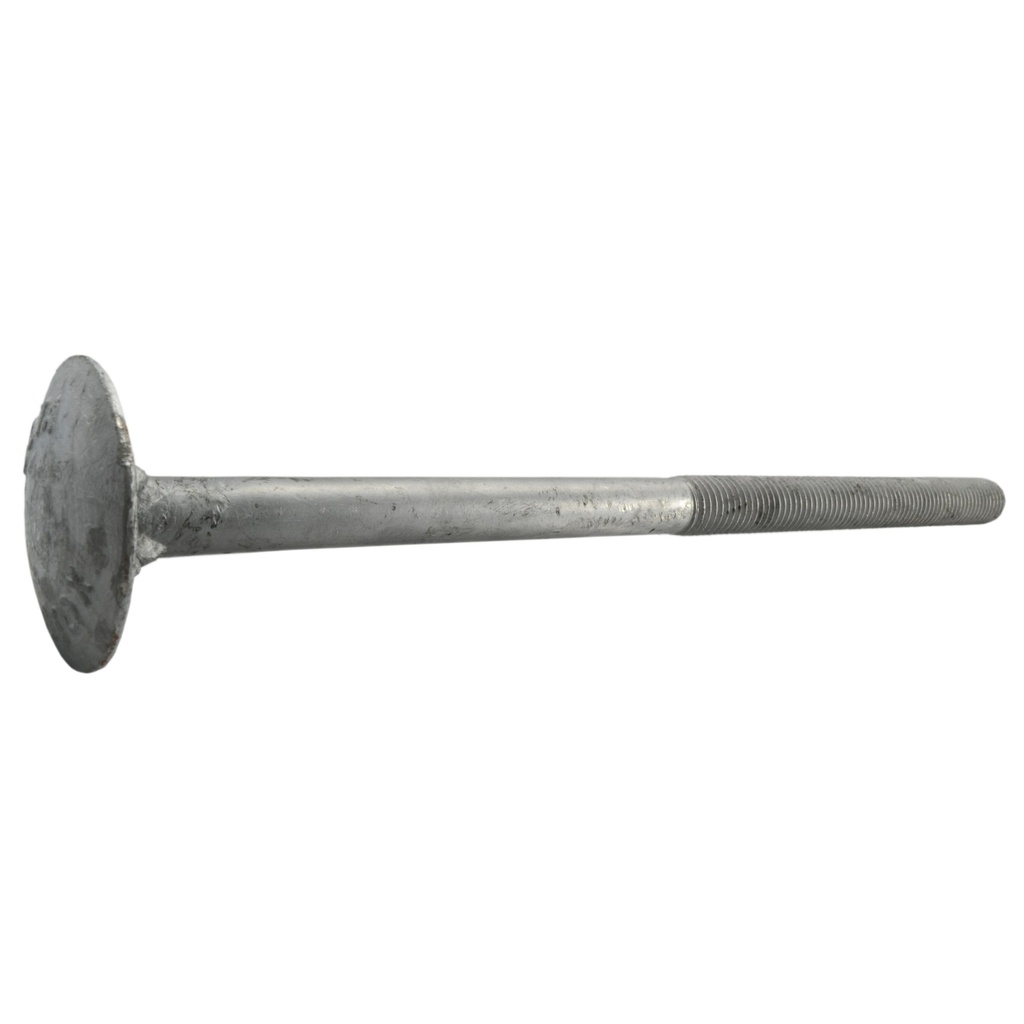5/8-11 x 12 Dome Timber HDG