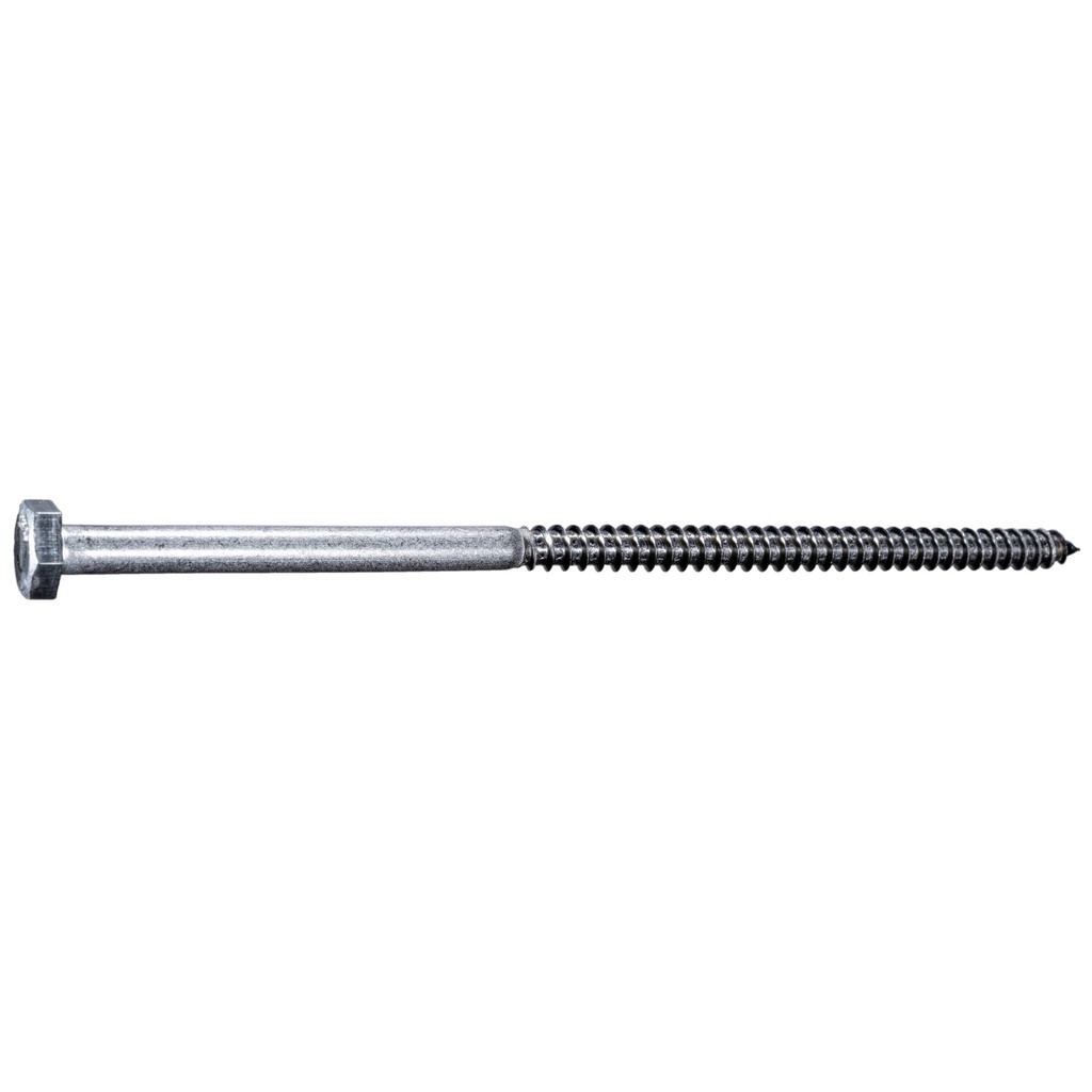 1/4 x 6 Hex Lag Screw SS