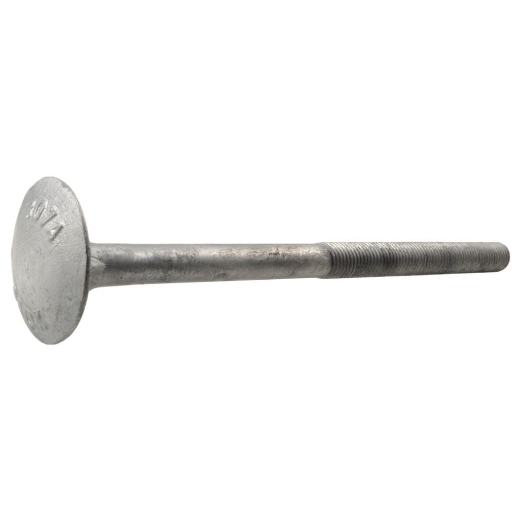 3/4-10 x 12 Dome Timber HDG