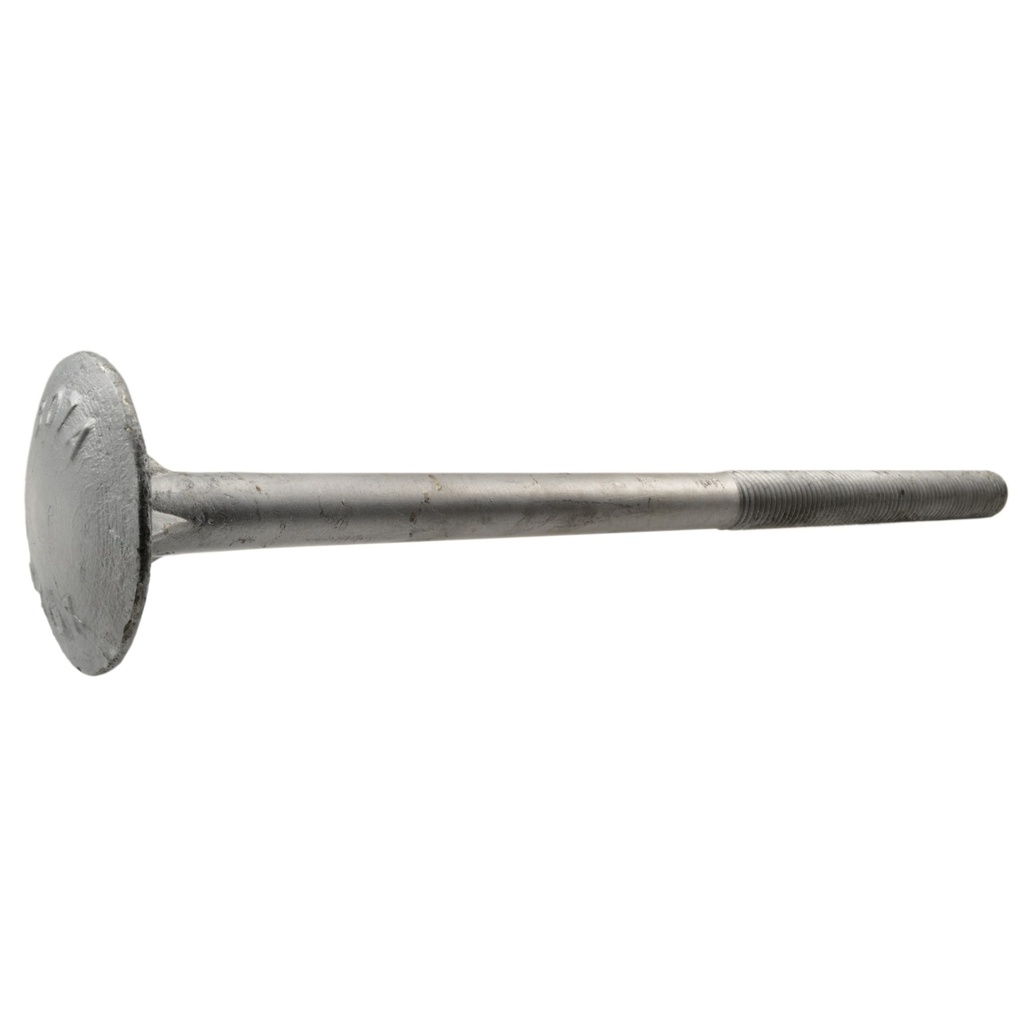 3/4-10 x 14 Dome Timber HDG