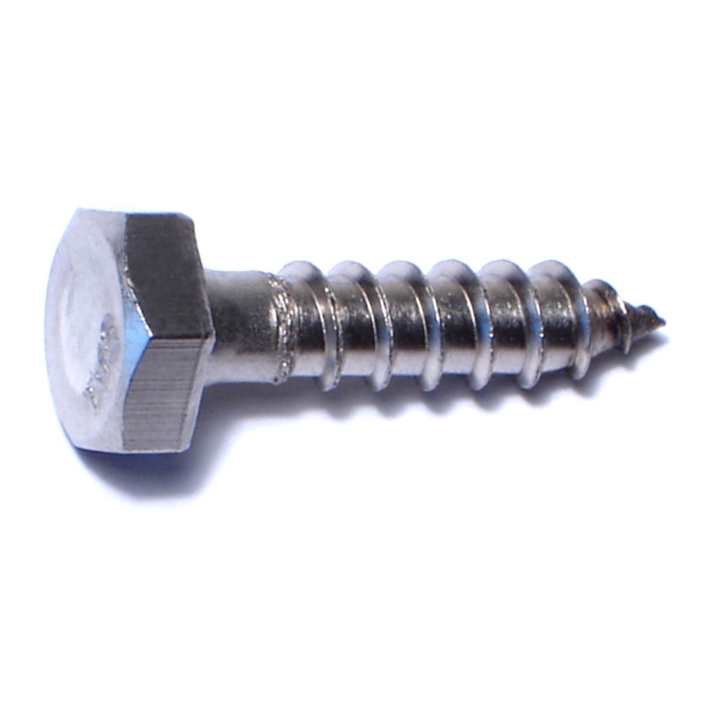 1/4 x 1 Hex Lag Screw SS