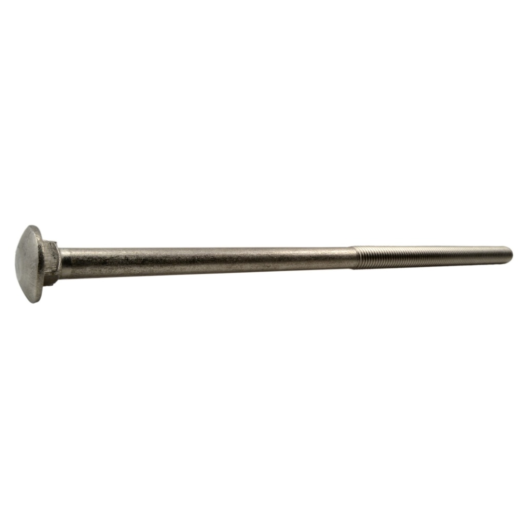 1/2-13 x 12 Carriage Bolt SS