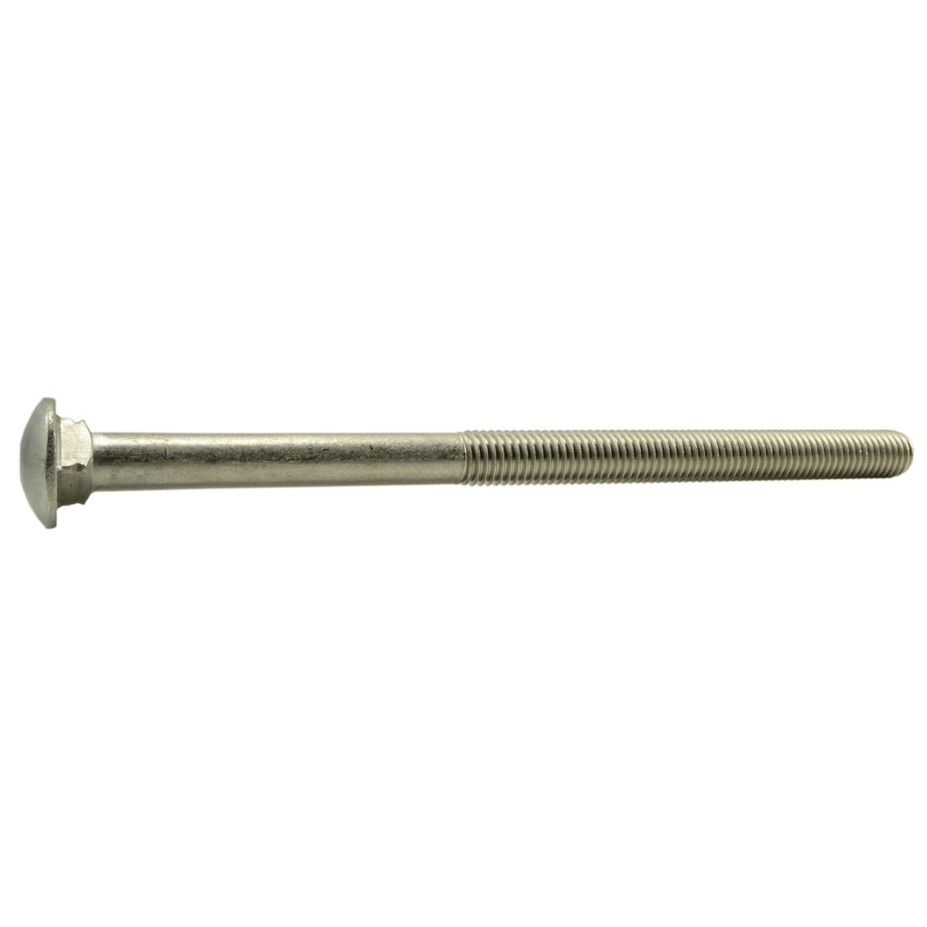 5/8-11 x 10 Carriage Bolt SS
