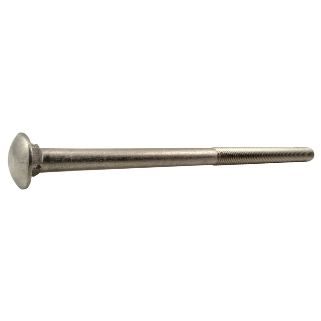 5/8-11 x 12 Carriage Bolt SS
