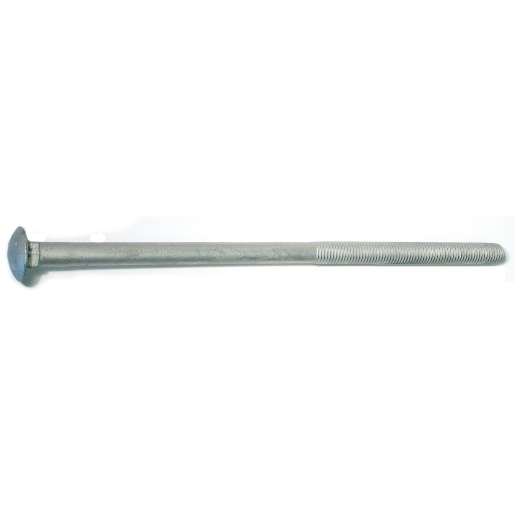5/8-11 x 14 Carriage Blt HDG