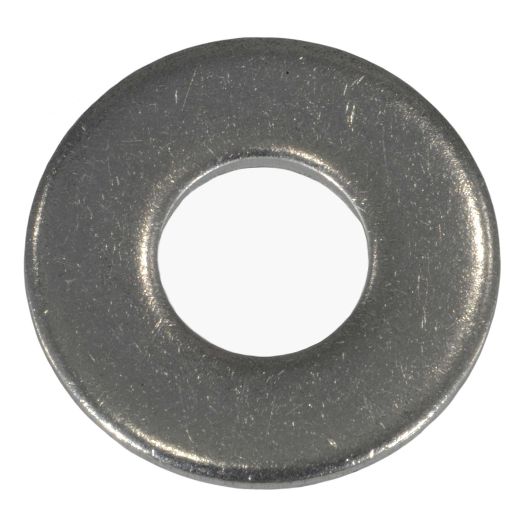 5/16 MS813 Flat Washer SS