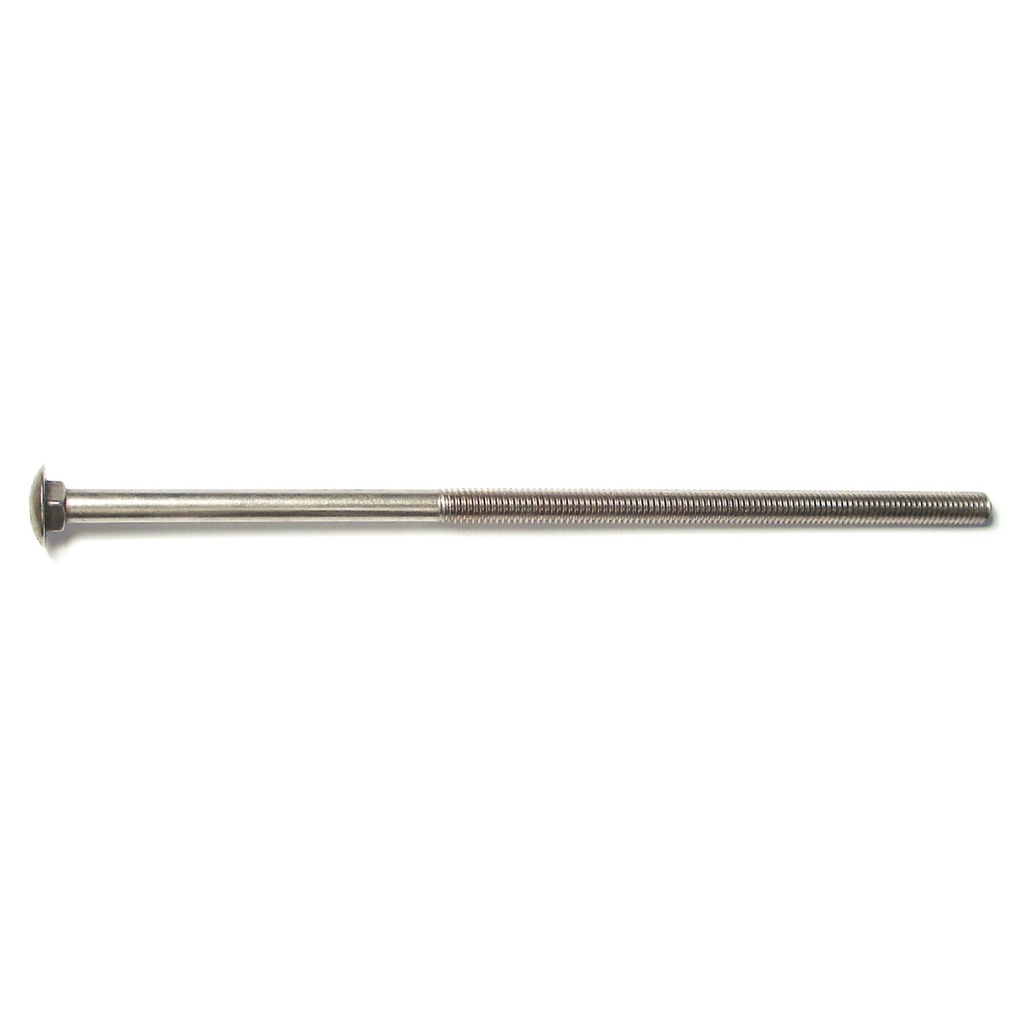 3/8-16 x 10 Carriage Bolt SS