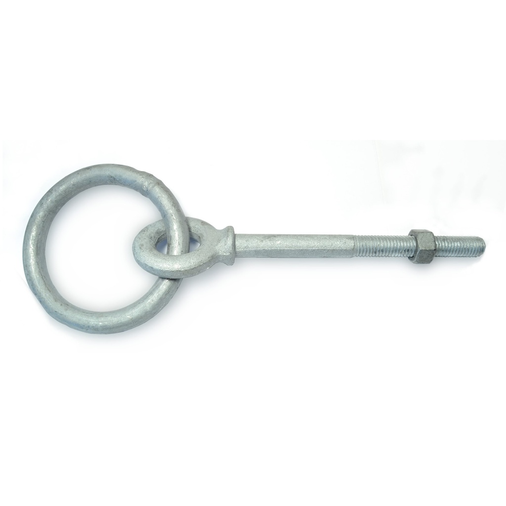 1/2-13 x 6 Shld RingBlt HDG