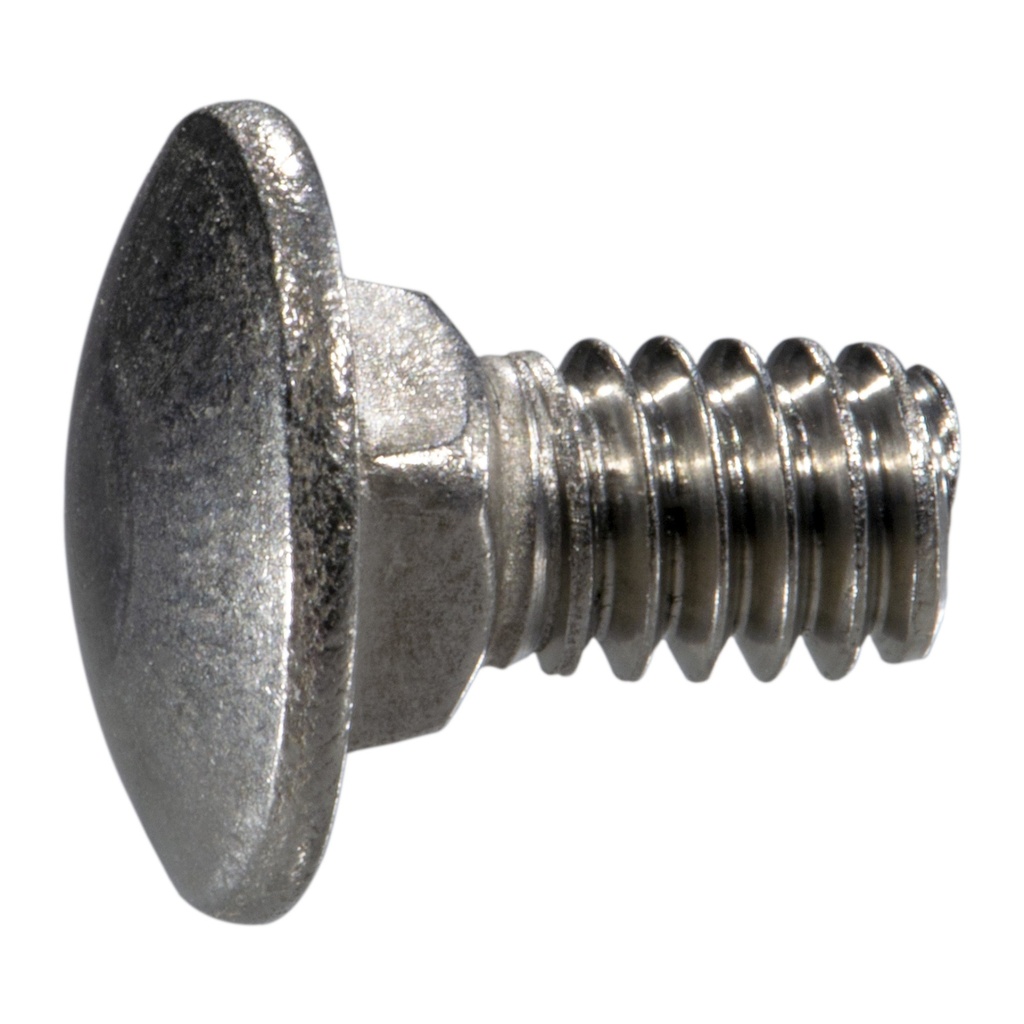 1/4-20 x 1/2 Carriage Bolt SS