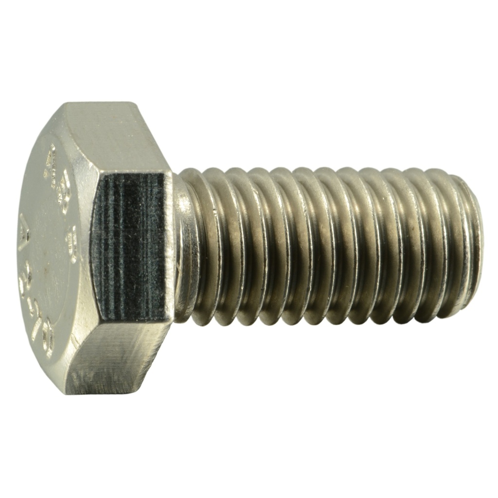 12mm-1.75x25mm Hex Cap Screw SS