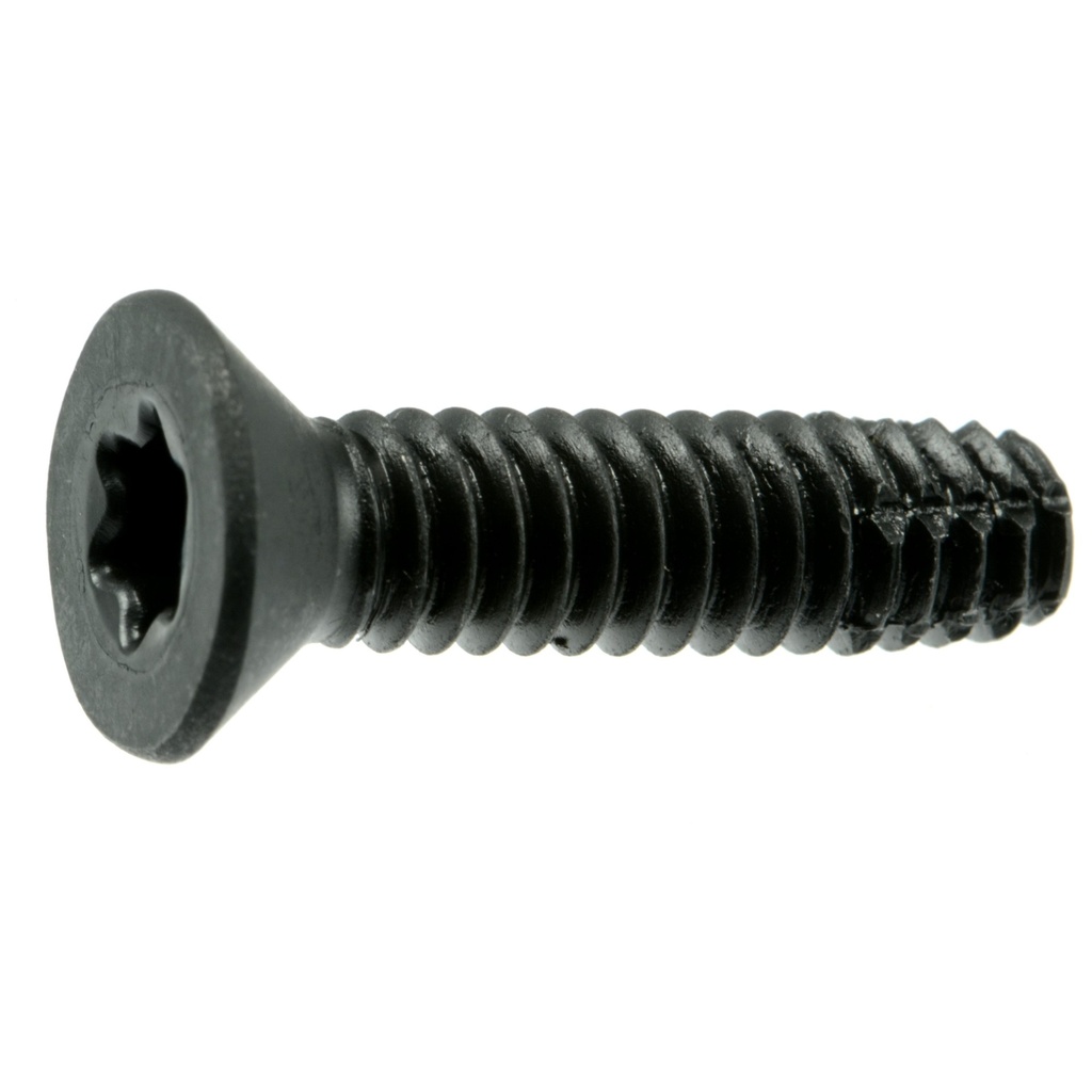 1/4-20 x 1 SD Floor Scr 1lb