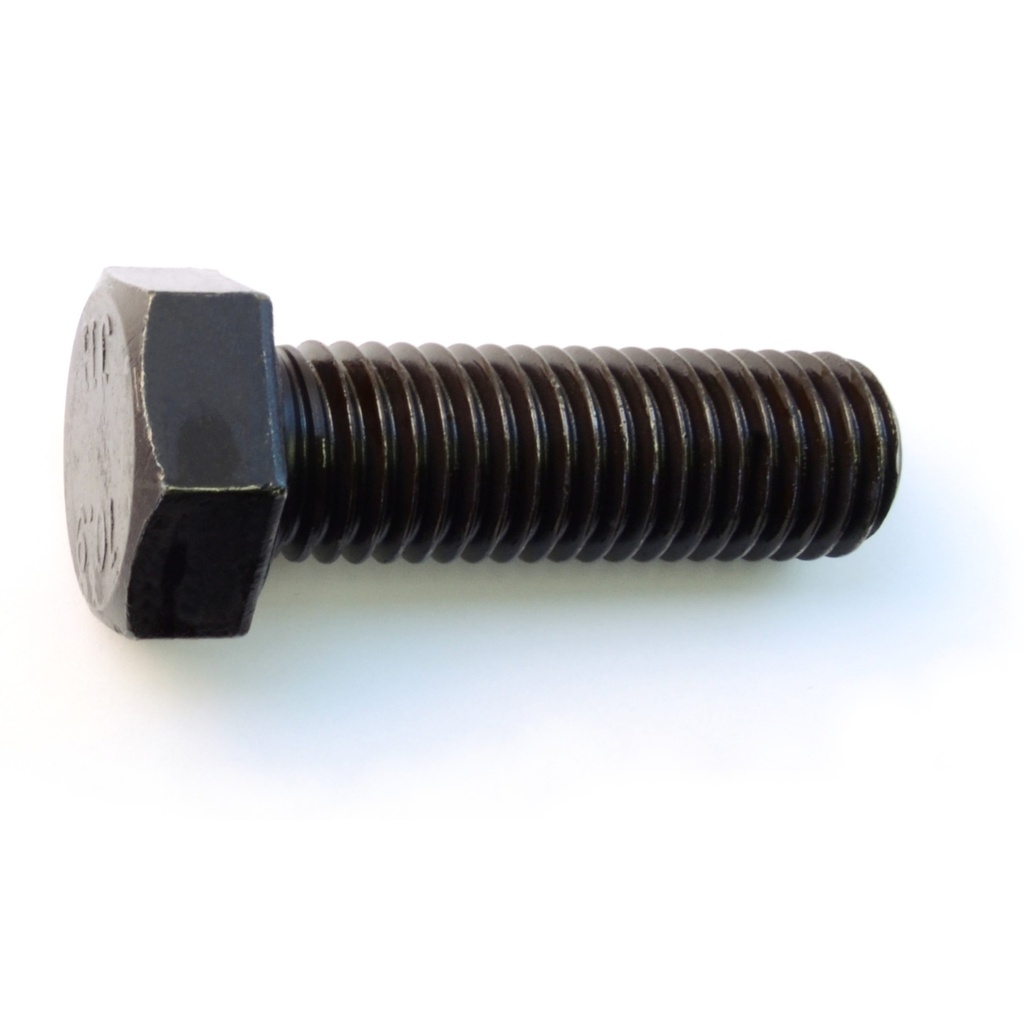 18mm-2.5 x55mm Hex Cap Scr 10.9