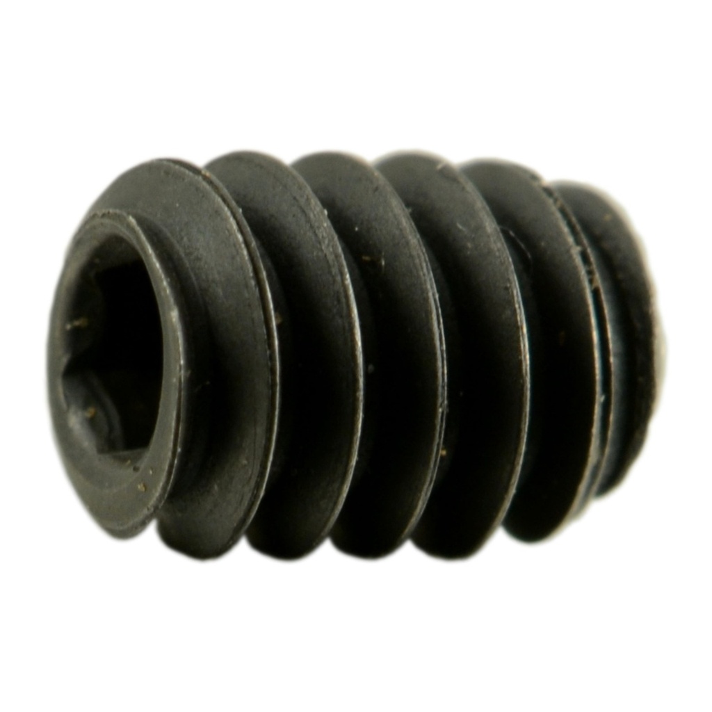 6-32 x 3/16 Socket Set Screw
