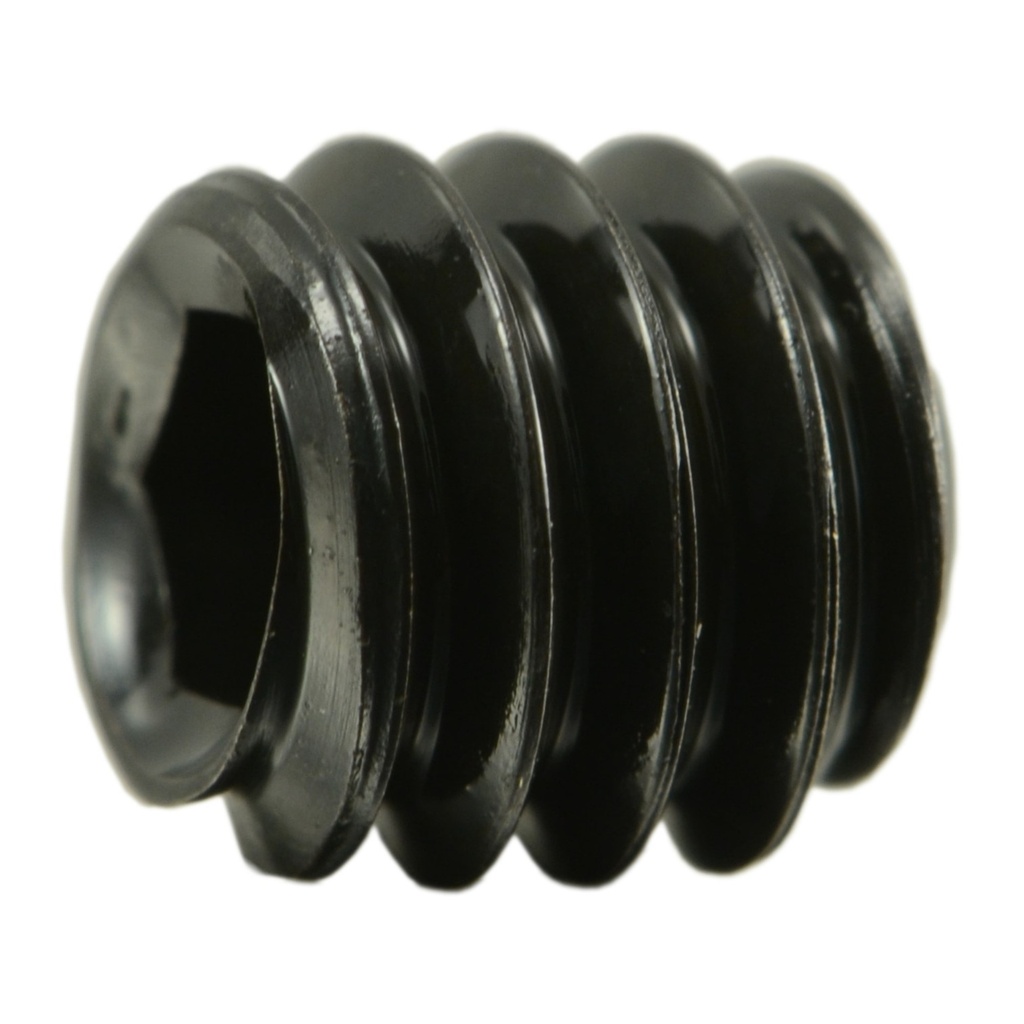 1/4-20 x 1/4 Socket Set Screw