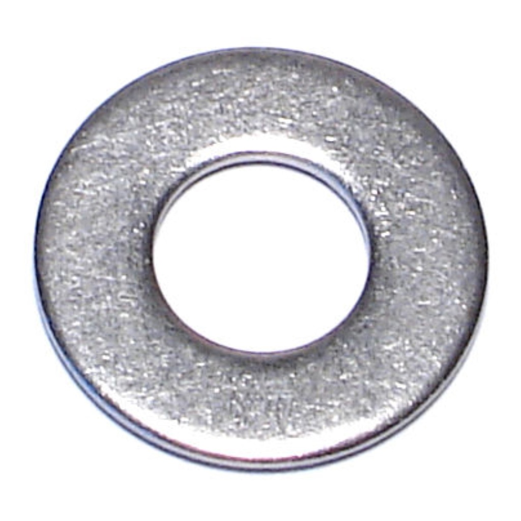 1/4 Fl Washers SS