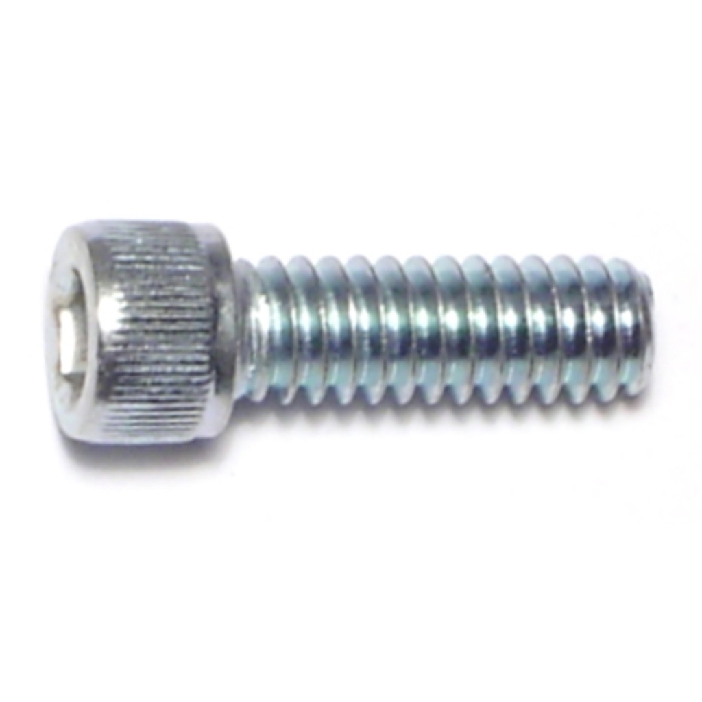 1/4-20 x 3/4 Socket Cap Sc SS