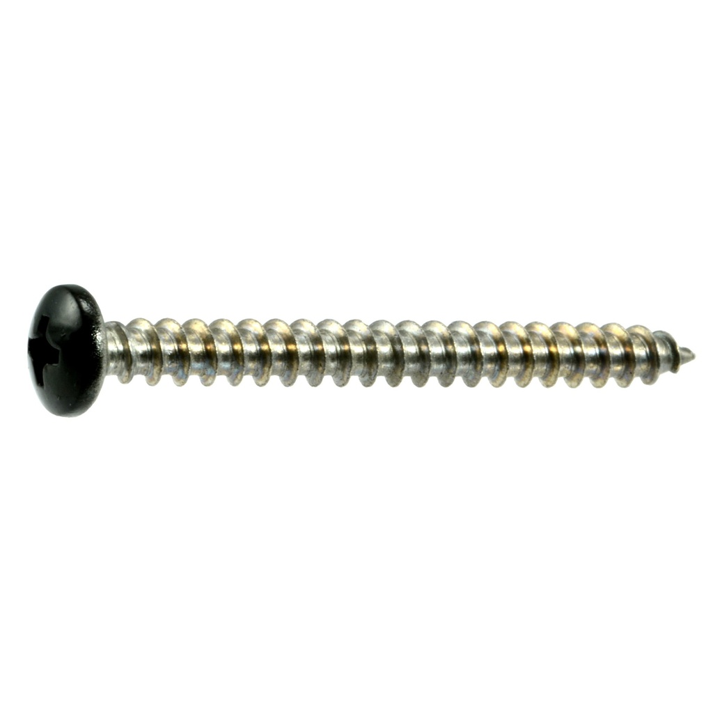 10 x 2 Blk Pan Shutr SS