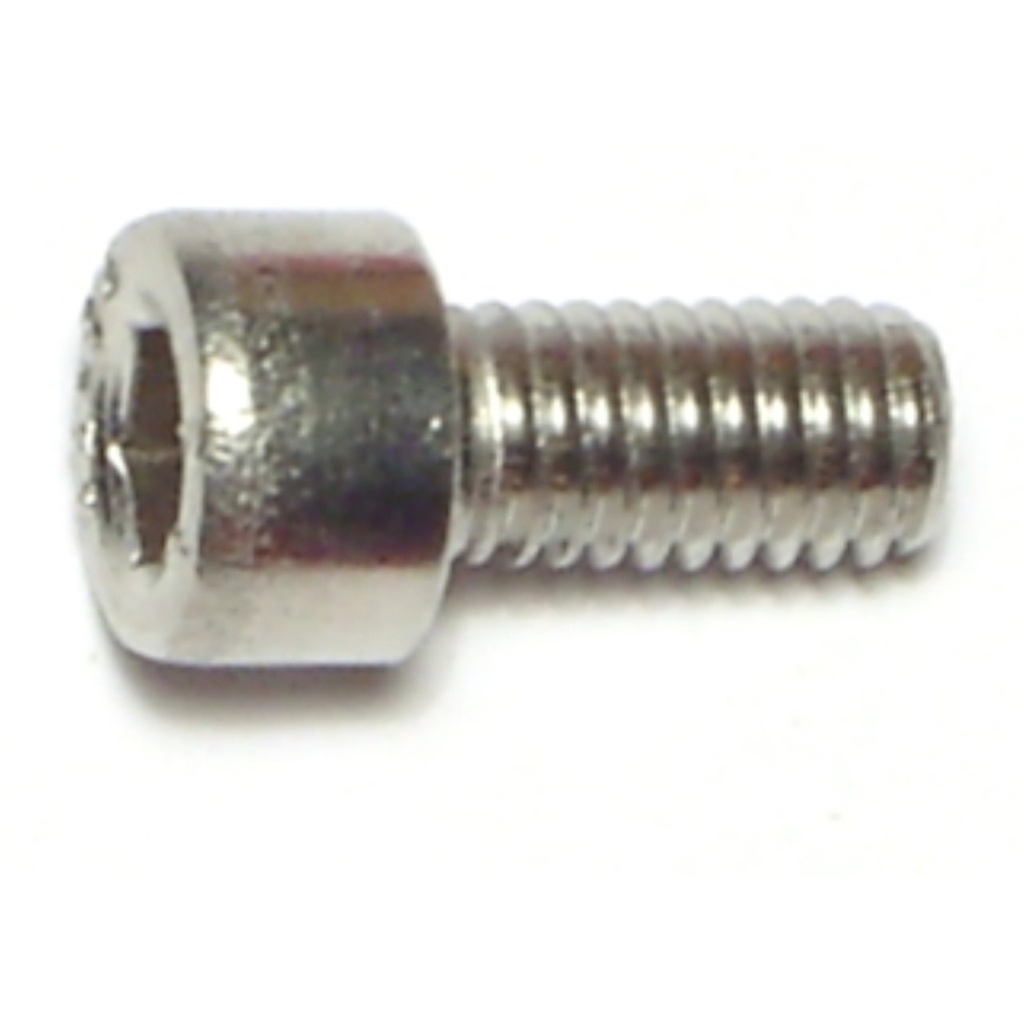 6mm-1.0 x 12 Socket Cap Sc SS