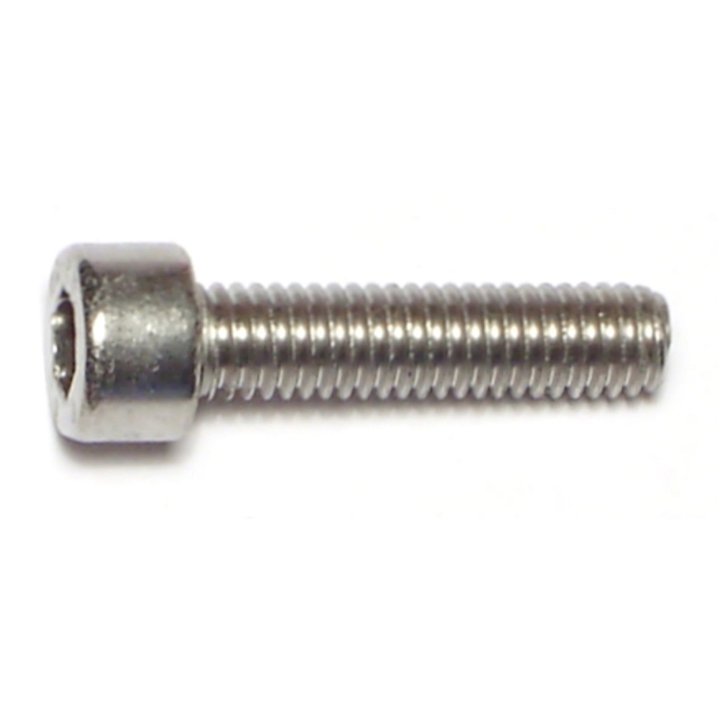 6mm-1.0 x 25 Socket Cap Sc SS