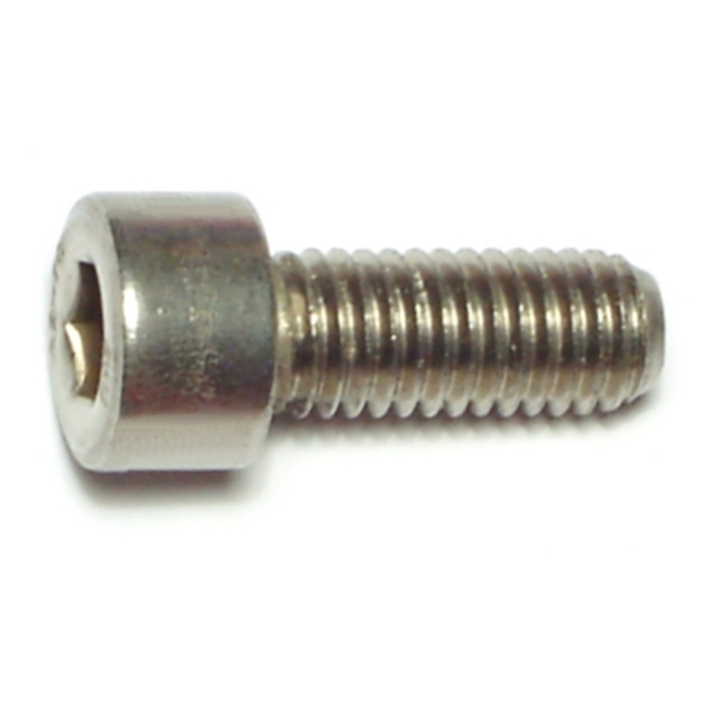 8mm-1.25 x 20 Socket Cap Sc SS