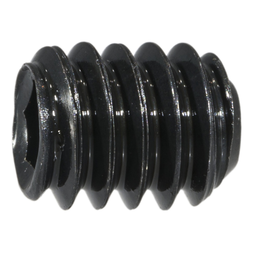 1/4-20 x 5/16 Socket Set Screw