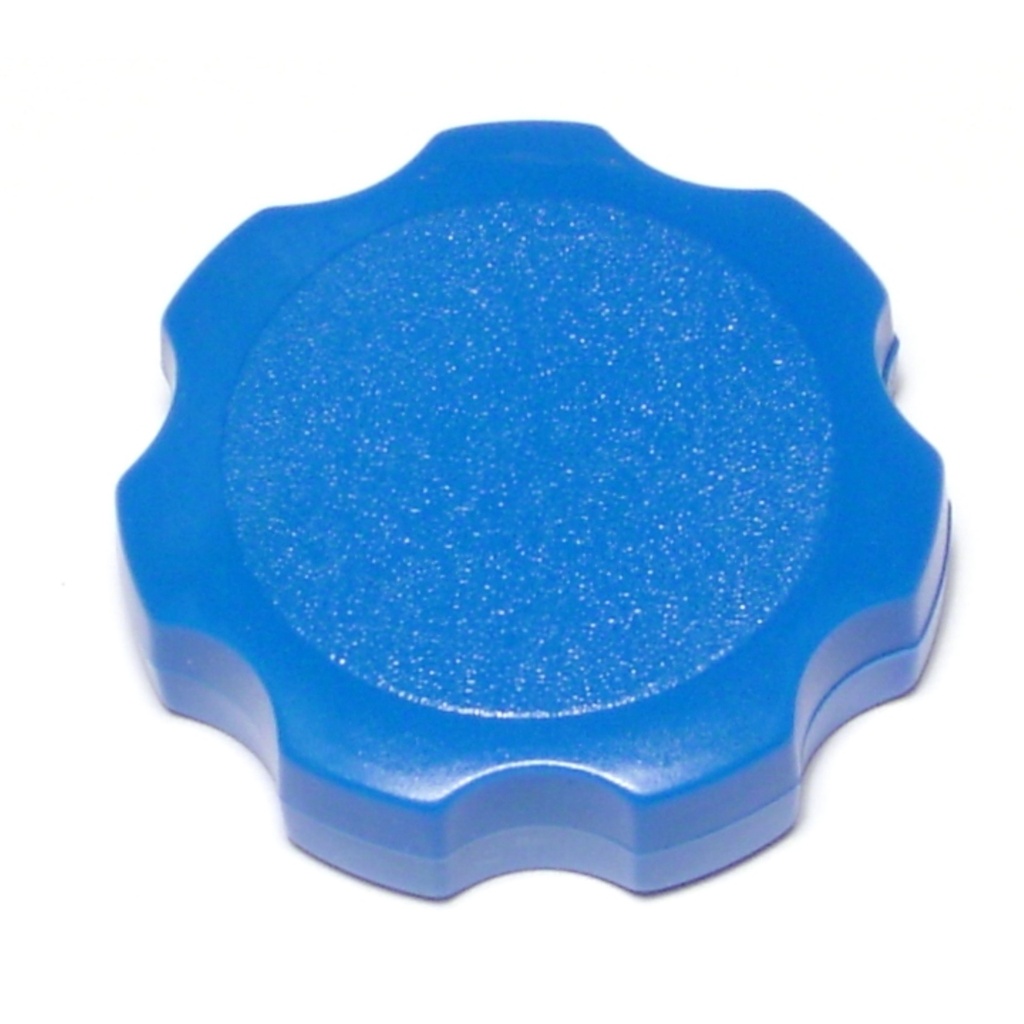 1/4 Blue Flowerette Screw